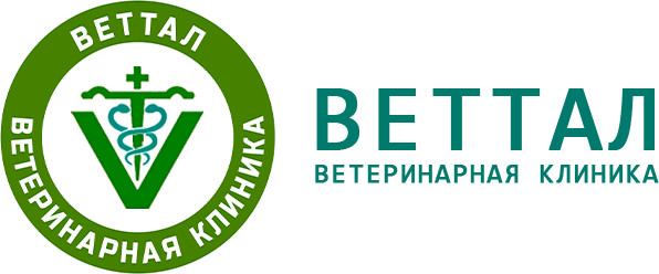 логотип сайта